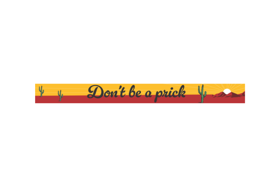 WitWords by M&W Design Co. - Wholesale Desk/Tabletop Sign - Don't Be A Prick (Cactus)0