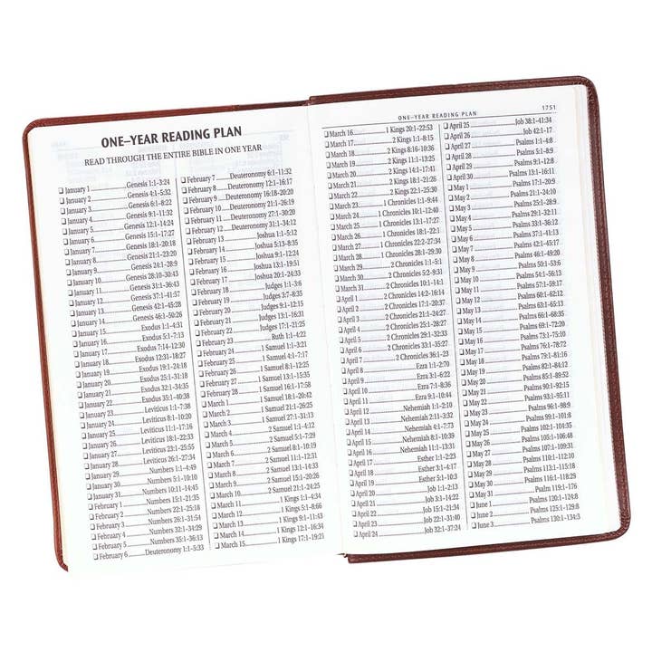 Christian Art Gifts - Wholesale Display Book - Brown Faux Leather Giant Print King James Version Bible7