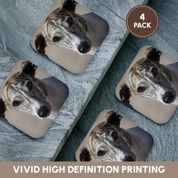 3dRose - Wholesale Coasters - 3dRose, Portrait of a Whippet, Coaster12