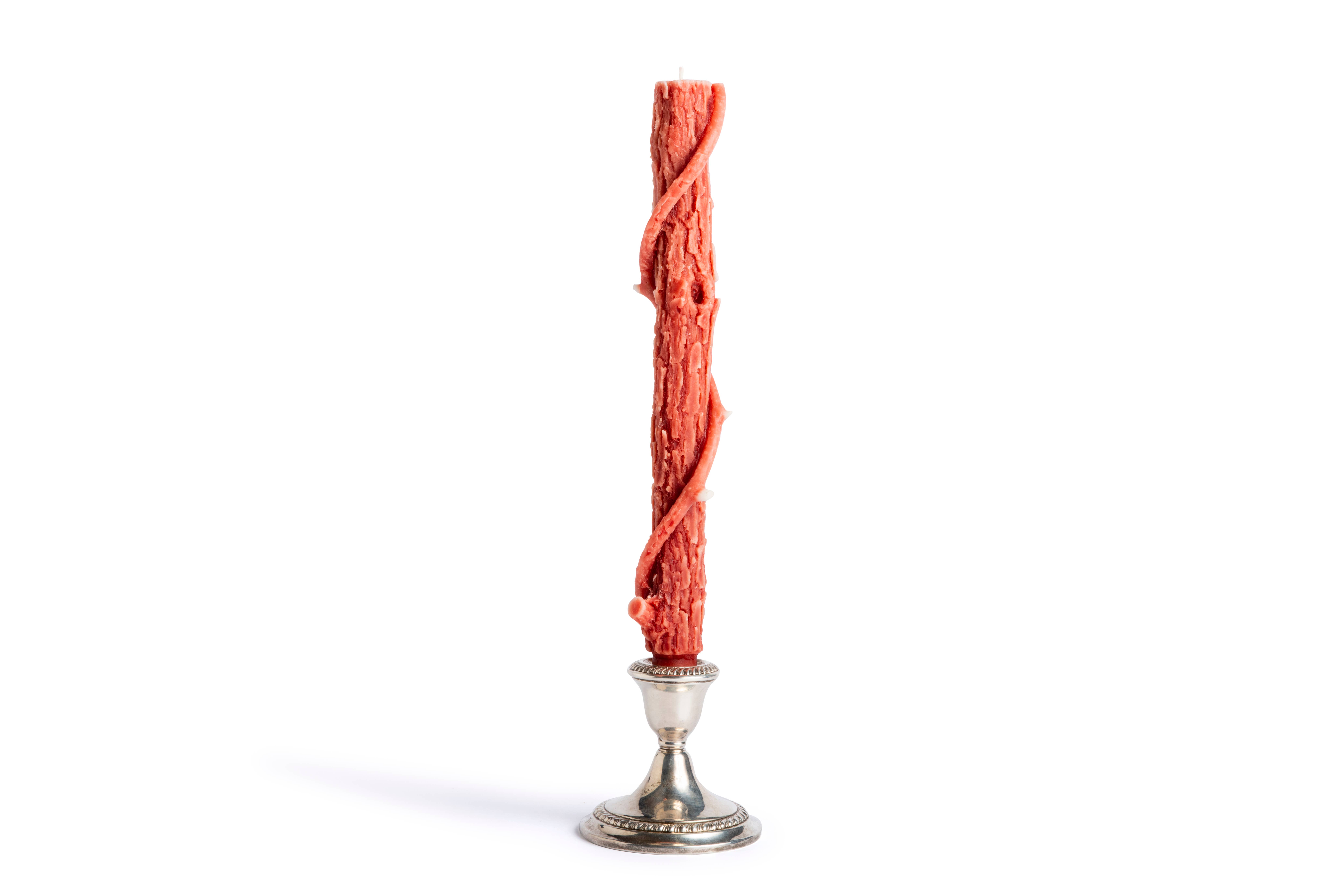 Stick Candles - Wholesale Tapered Candle/Candlestick - Bittersweet Oak Colossal Taper ~ "The Vine" / Single9