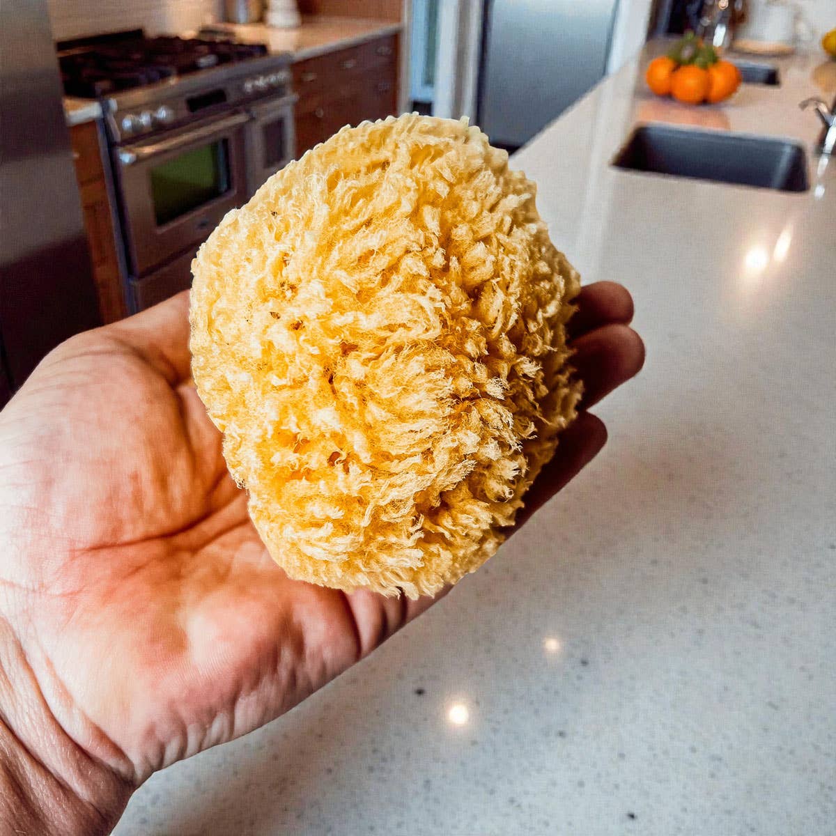 Gia Roma - Wholesale Bath Pouf/Sponge - Dead Sea Sponge, All Natural Body Wash Loofah 4-5"7