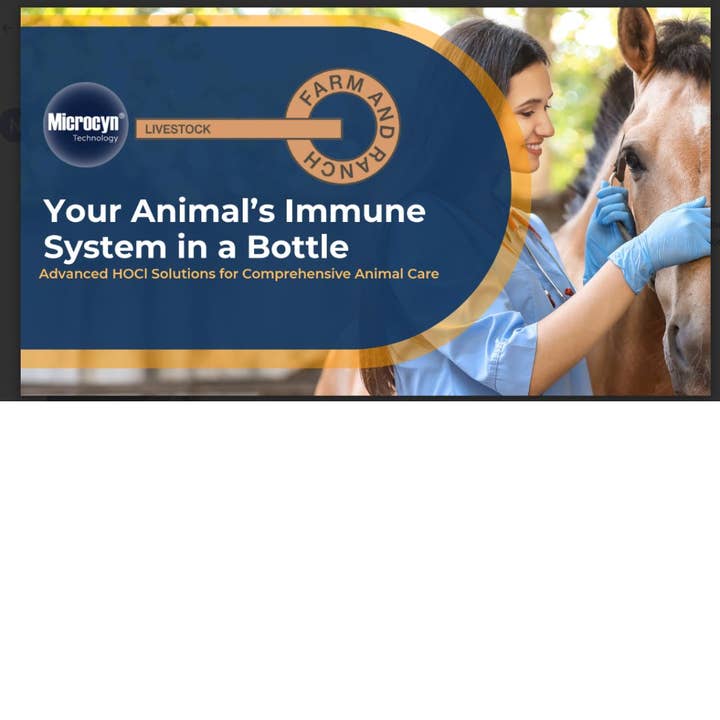 BC Animal Solutions Inc - Wholesale Pet Spray - Not Cat/Dog - Microcyn® Farm and Ranch Pink Eye Solution, 16oz