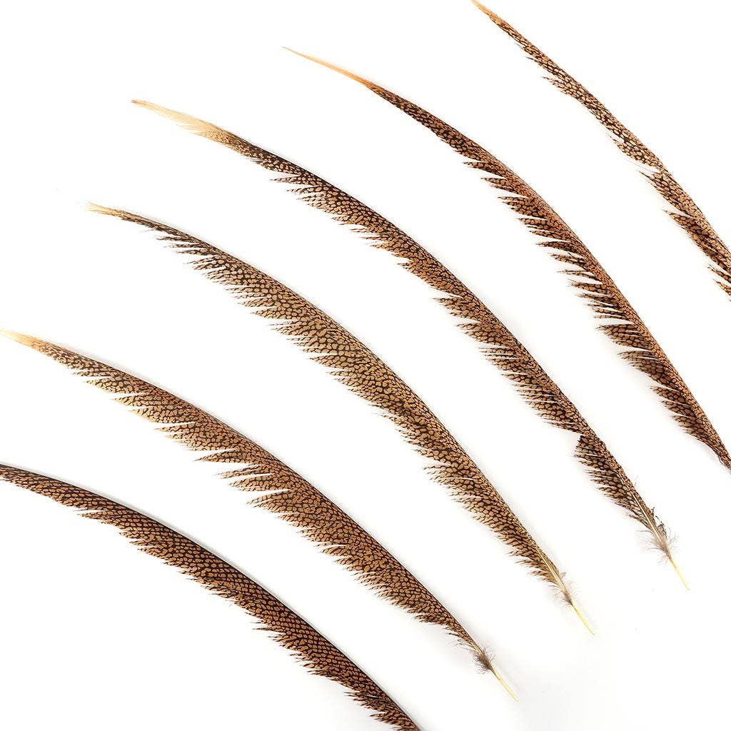 Zucker Feather Products - Wholesale Knutselbenodigdheden - 1 stuk natuurlijke gouden fazantenstaartveren van 51-76 cm3