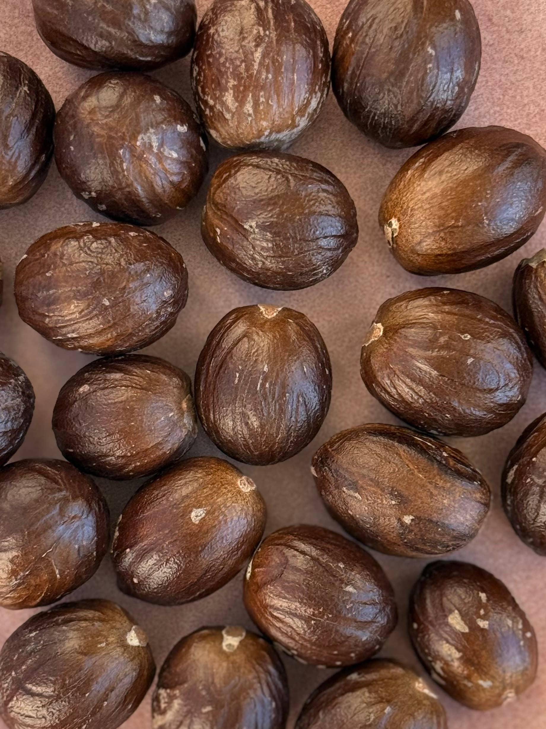 Sourcery - Wholesale Dried Spice - Nutmeg-in-the-shell1