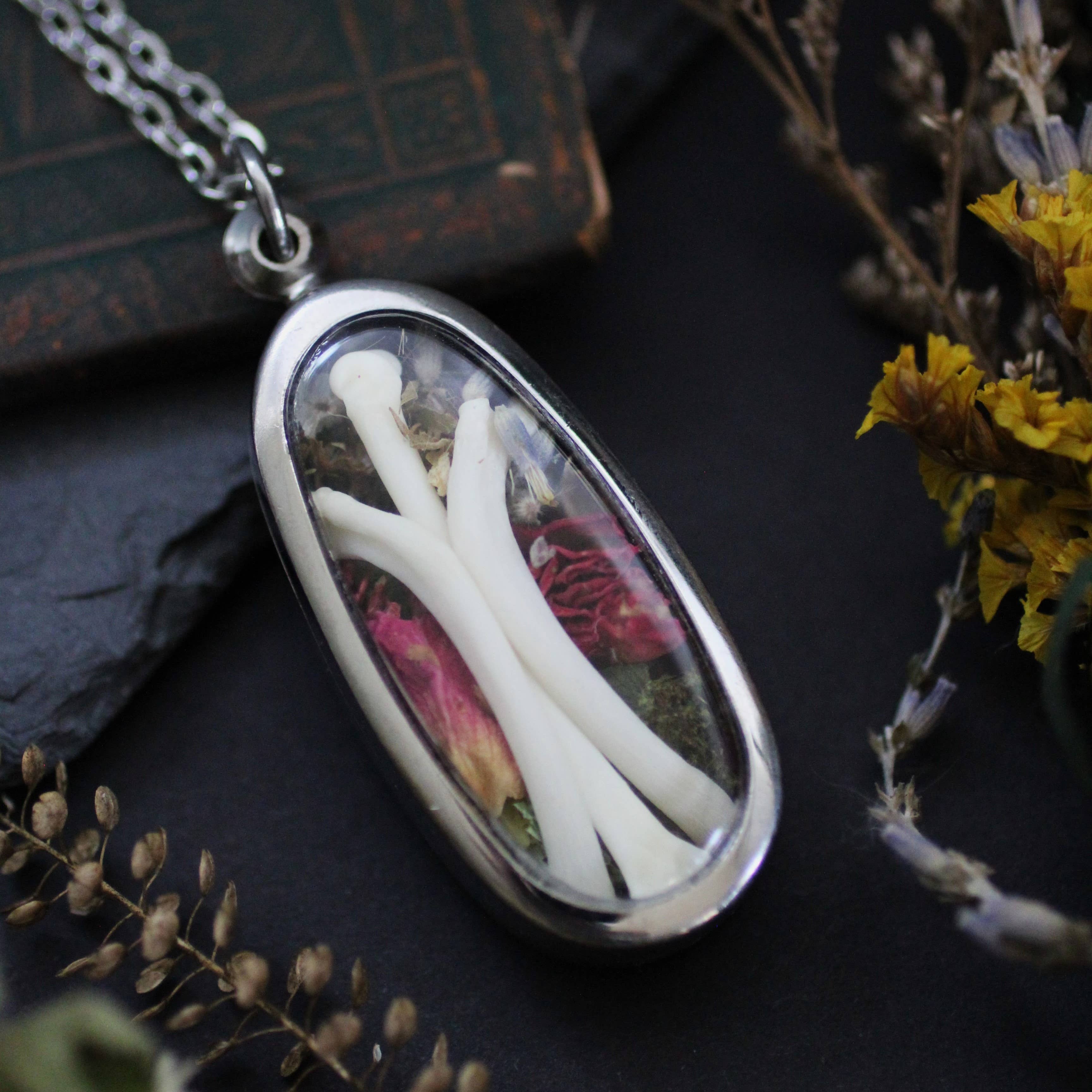 Kitty Bomb Curios - Wholesale Pendant/Charm Necklace - Bone Lockets oddity reliquary tooth window jewelry necklace7