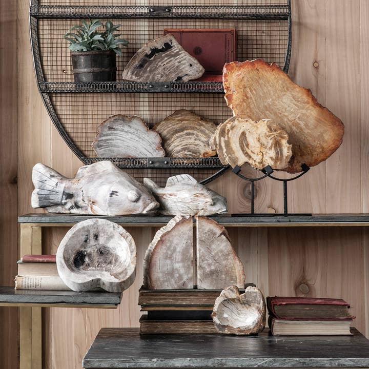 Blue Ocean Traders - Wholesale Decorative Tabletop Object - Petrified Wood on Iron Stand1