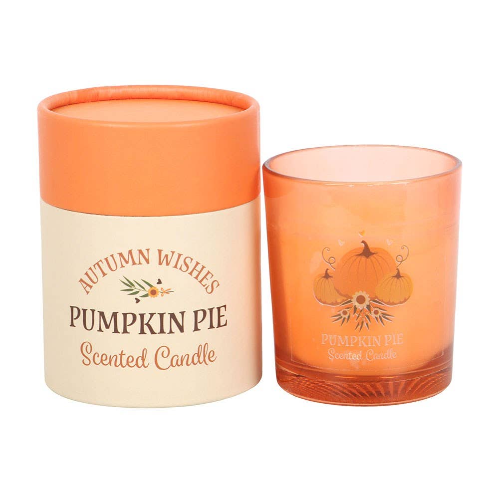Something Different Wholesale - Wholesale Jar/Filled Candle - Autumn Wishes Pumpkin Pie Scented Fall Candle1