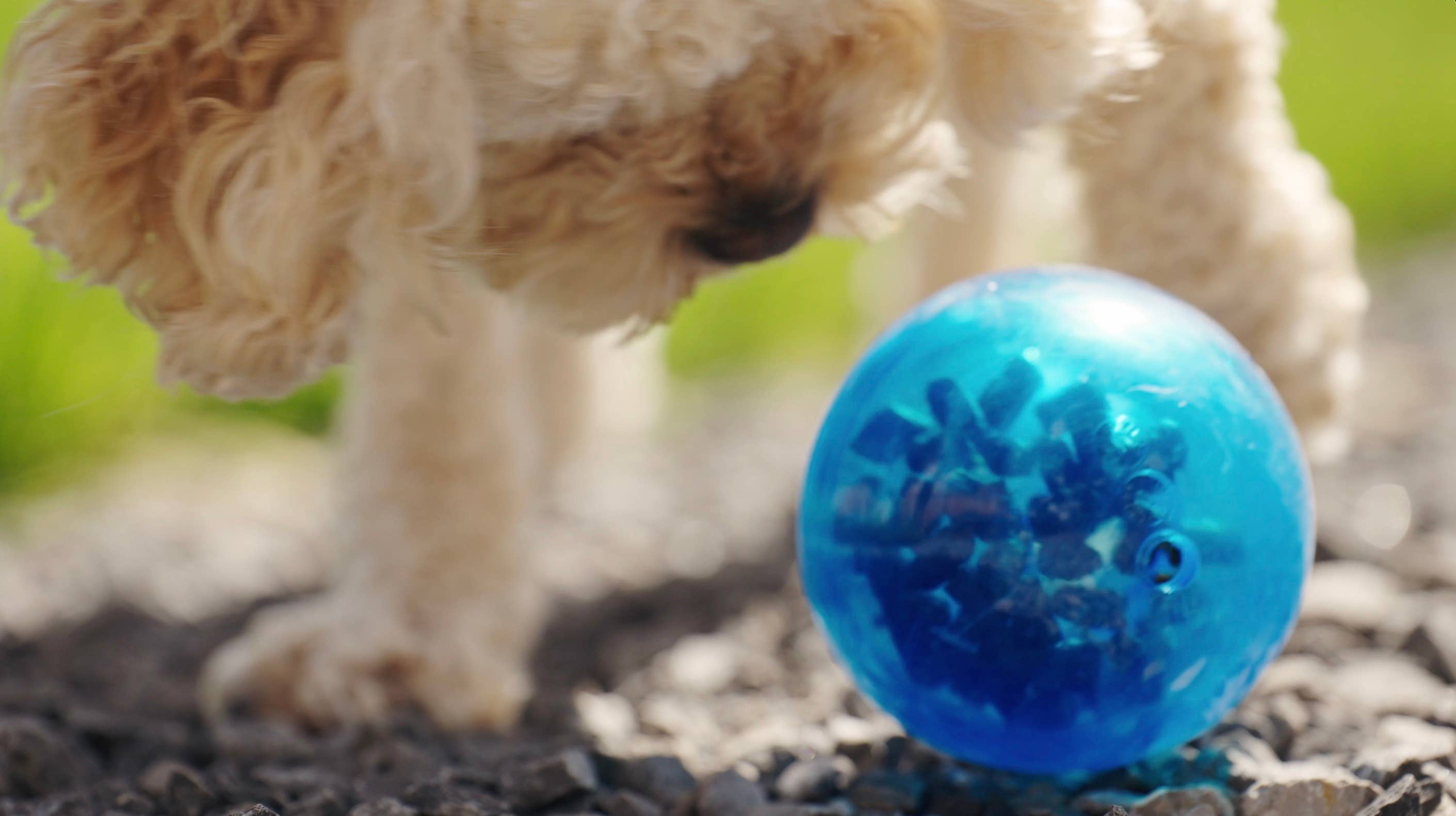 Tilted Barn Pet Co. - Vente Friandises – chien - Friandises Canadian Bacon Miniwags pour chiens 100g/3,53 oz6