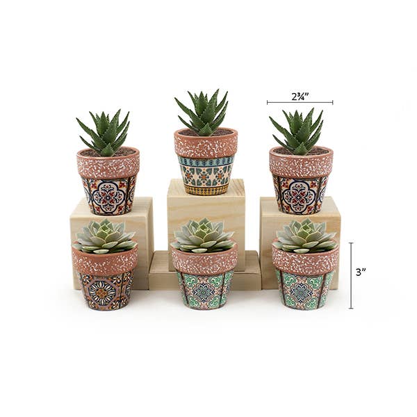 Land & Sea - Wholesale Plant Pot - Mini Pots