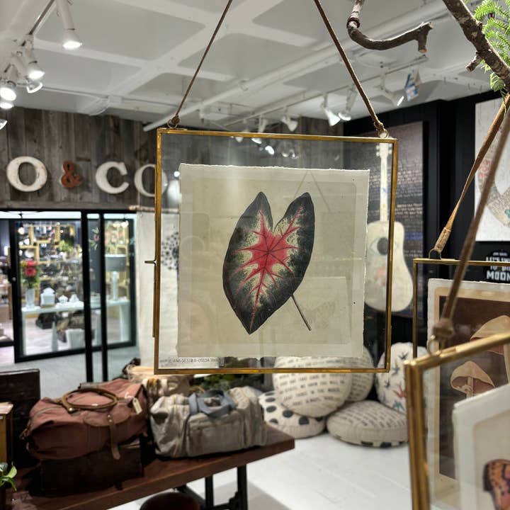 Sugarboo & Co - Wholesale Picture Frame - Brass Frame Square1