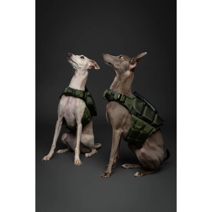 Noah and paw - Wholesale Pet Jacket - Dog - Human Standards Dog Lifejacket Design with 3x Foam Support for Max Floating - Green