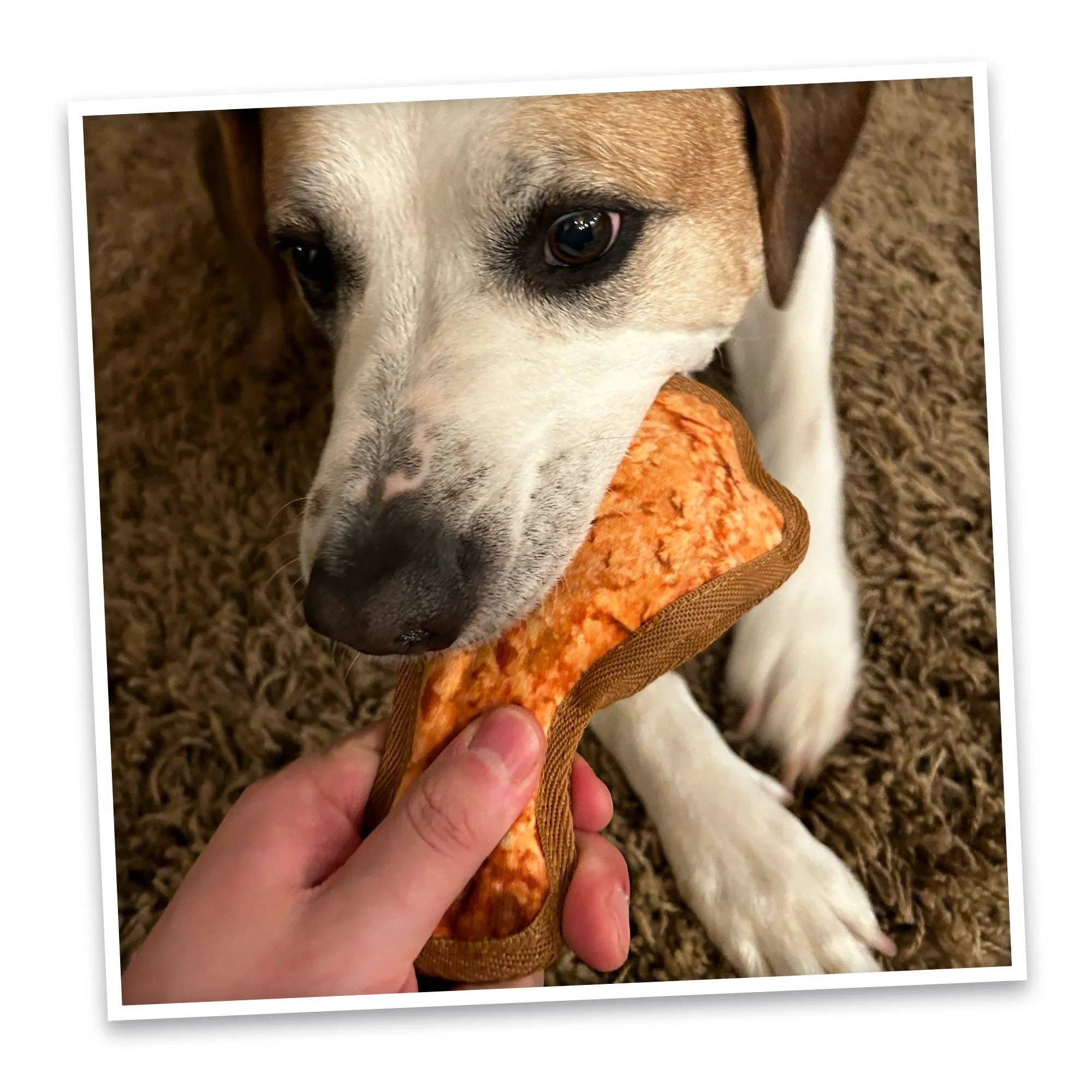 SmarterPaw | Meowijuana & Doggijuana - Wholesale Pet Chew Toy - Dog - Doggijuana® Tuffer Chewer Mini Chicken Wing Dog Toy6