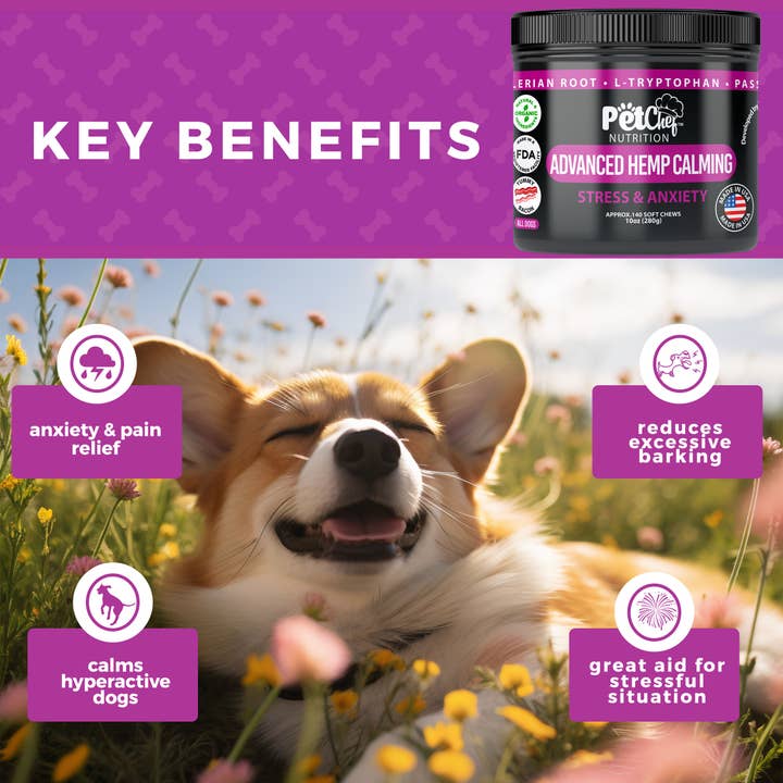 Global Private Brands - Wholesale Pet Supplement - Dog - Pet Chef Chill Calming Soft Chew Supplements 140ct 10oz