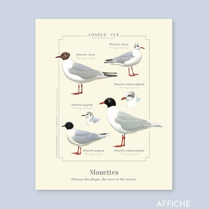 Seagulls - Poster voor wholesale door Longue-vue