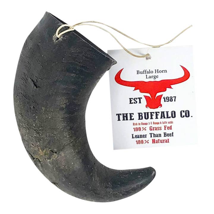 The Buffalo Co. - Vendita all'ingrosso Snack - Cani - Buffalo Horn-Large (6-8 pollici) - Snack per cani
