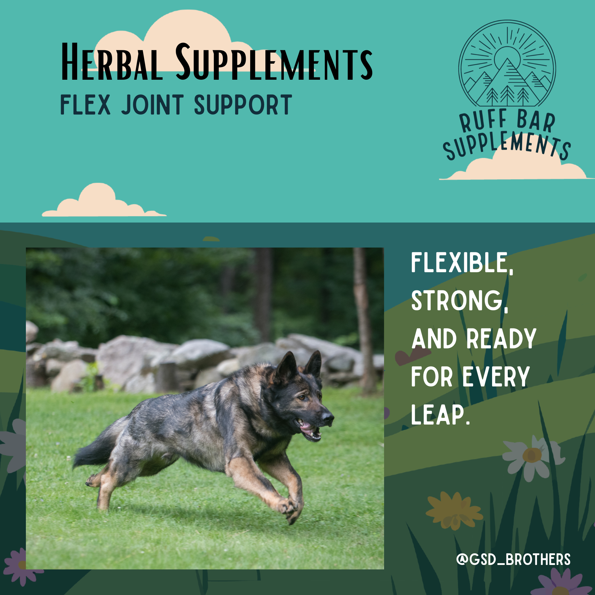Ruff Bar - Wholesale Pet Supplement - Dog - Flex Joint Support Herb Mix for Dogs2