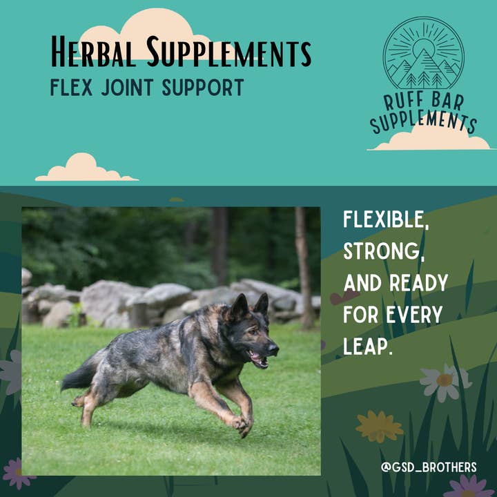 Ruff Bar - Wholesale Pet Supplement - Dog - Flex Joint Support Herb Mix for Dogs2