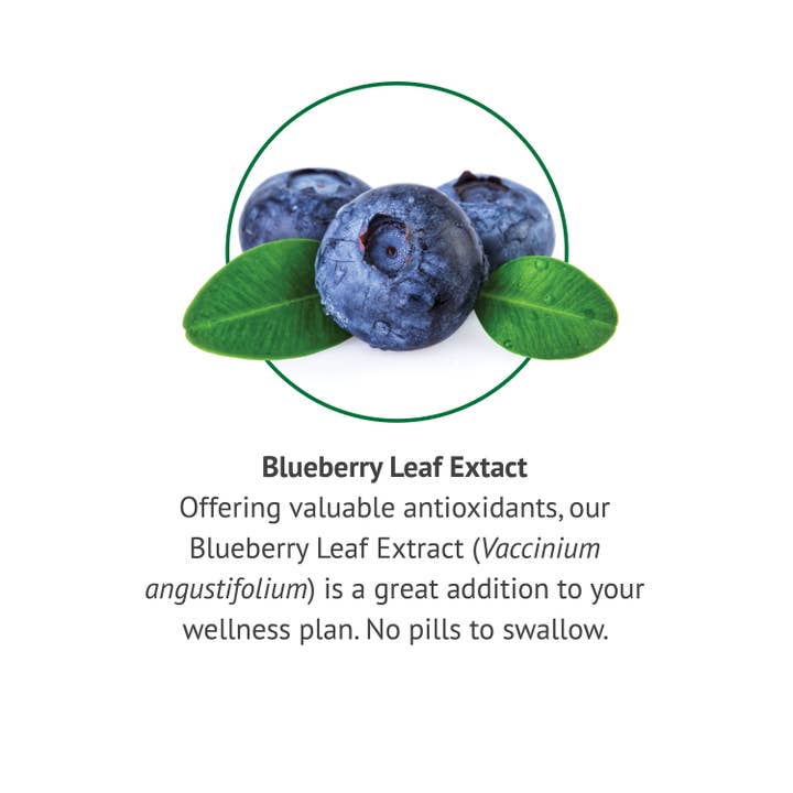 Botanic Choice - Wholesale Essential Oil - Botanic Choice Blueberry Leaf Liquid Extract - 1 oz3