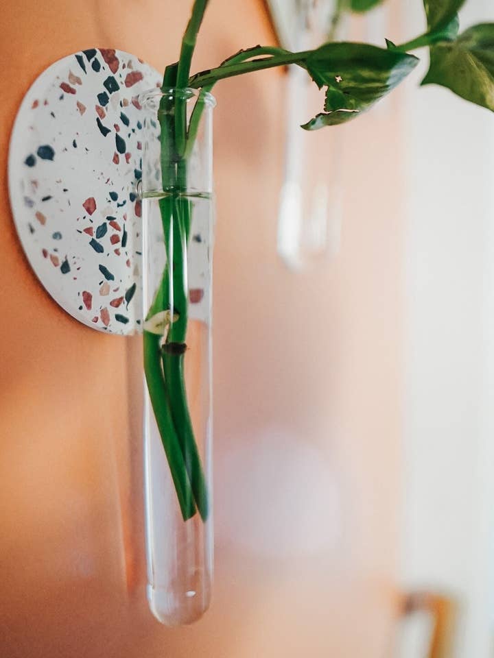Terrazzo Planter | Plantevæg | Formering Station | Magnetisk formering Planter | Reagensglas Wall Planter | Plant gave for engroshandel hos Simply Rooted