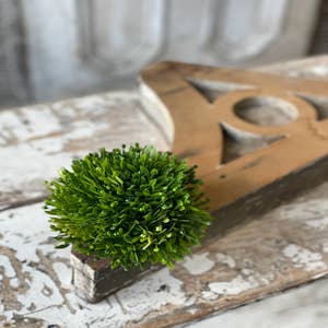 Whole Moss Balls Wholesale Can Make Any Space Beautiful and