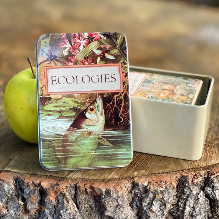 Montrose Biology - Wholesale Card Game - Ecologies Card Game Metal Tin - Archerfish Image