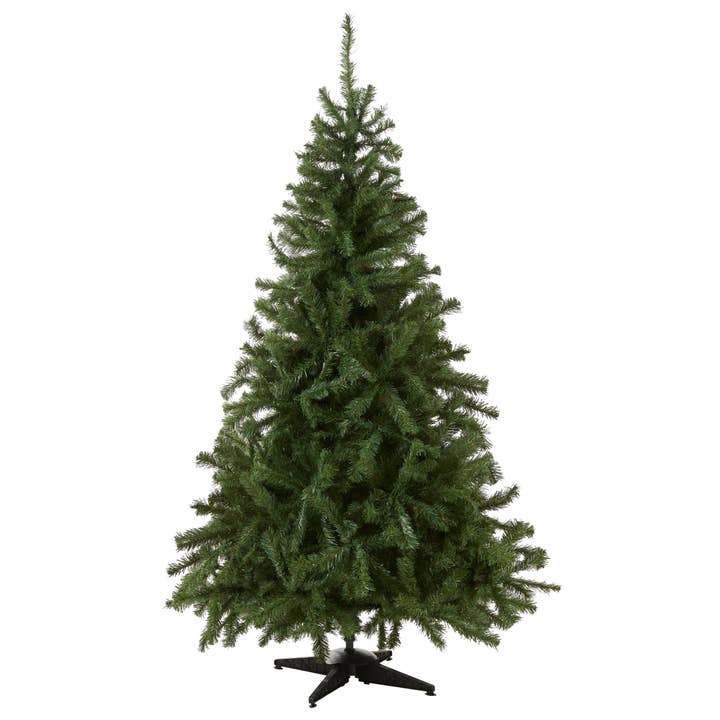 6 ft. Kincaid Spruce Tree for wholesale by National Tree Company