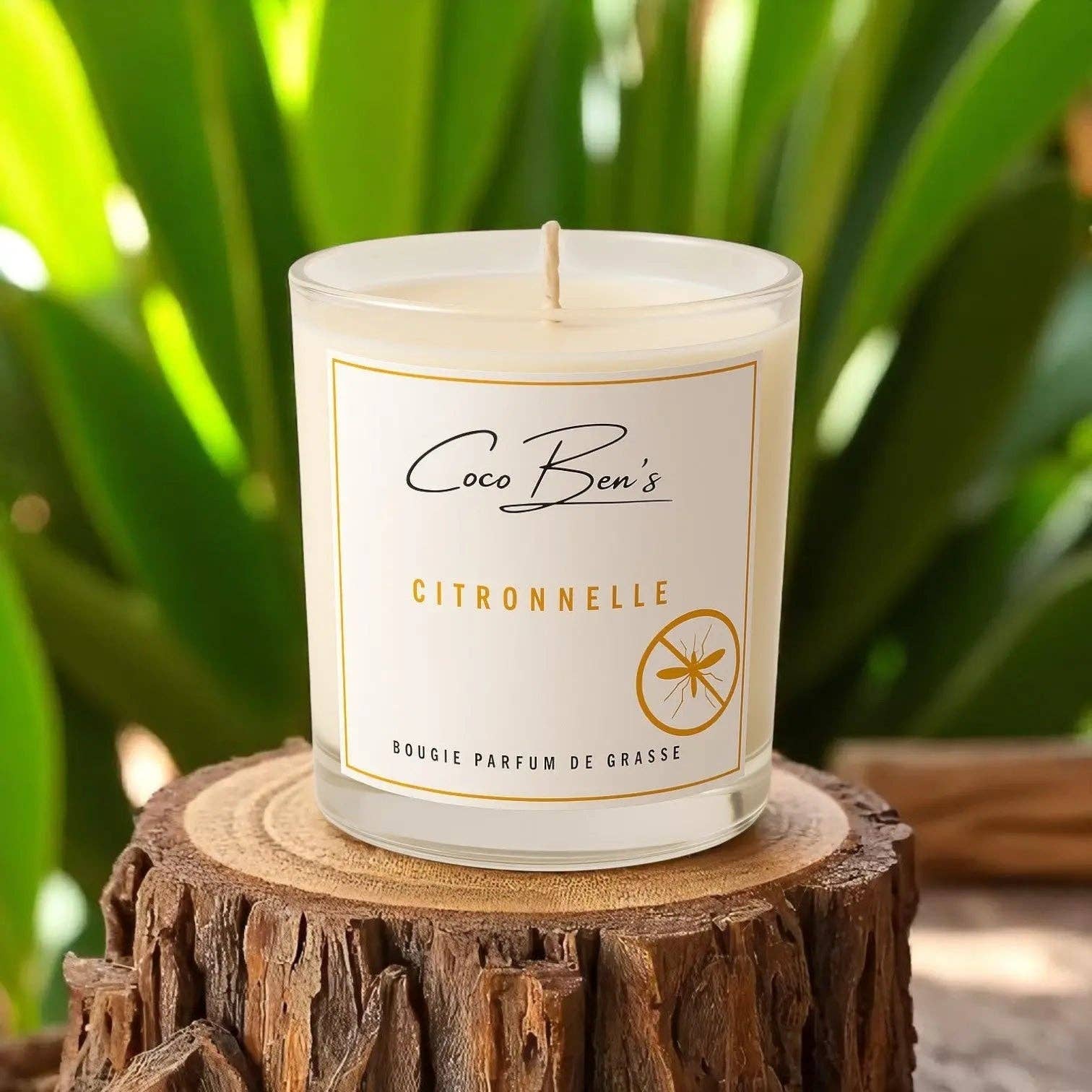 CocoBen's - Wholesale Jar/Filled Candle - Outdoor Candle - Citronella - 300ml