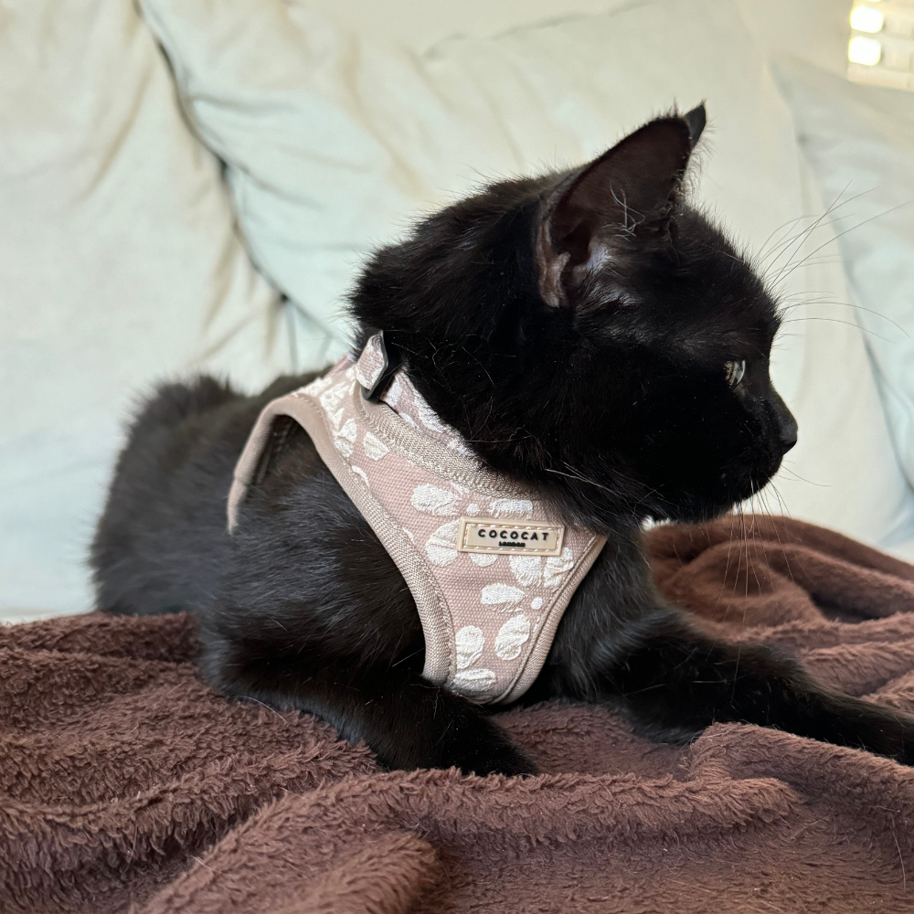 Cocopup London - Wholesale Pet Harness - Cat - Cat Harness - Mocha Flower3