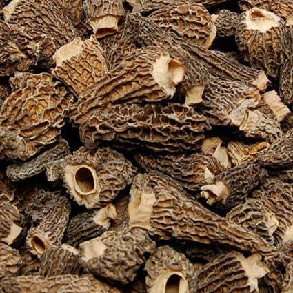 Wine Forest Ltd. - Wholesale Dried/Dehydrated Vegetables - Dried Morel Mushrooms