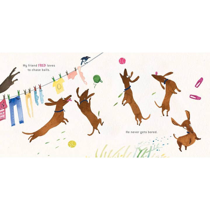 Independent Publishers Group - Wholesale Preschool Book (3-5) - My Friend Fred2