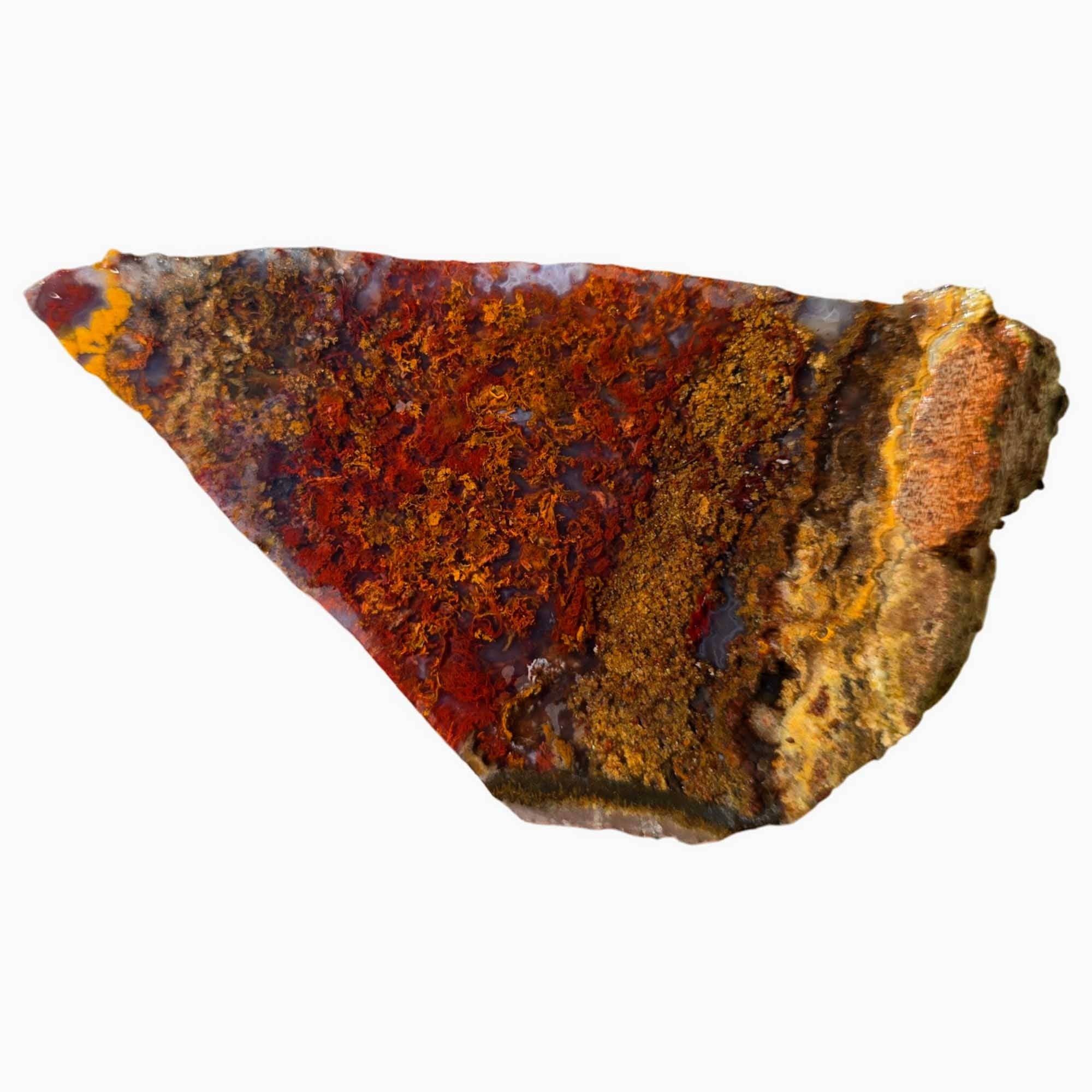 Lapidary Central - Wholesale Spiritual Stone/Crystal - San Carlos Agate Slab Vibrant Red Moss and High-Contrast Agate Pattern3