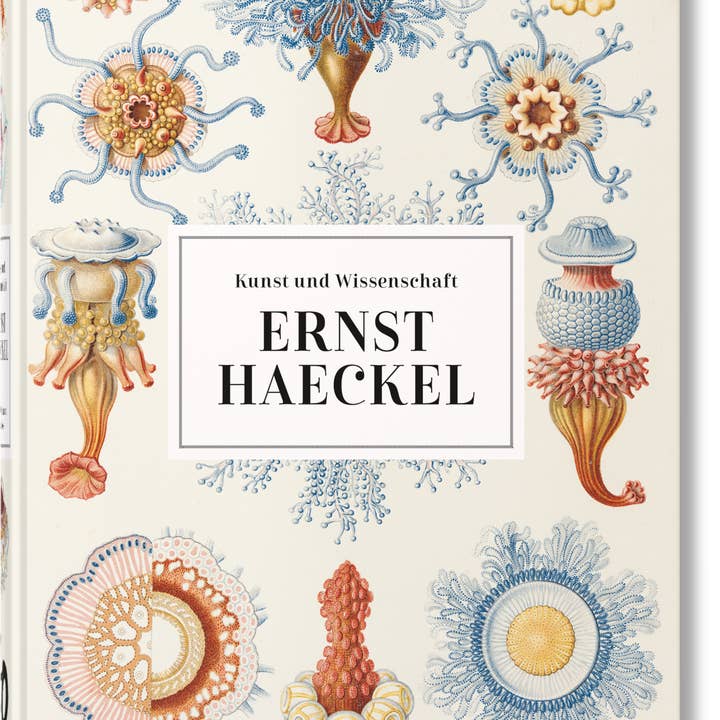 TASCHEN Europe - Wholesale Display Book - Ernst Haeckel. Kunst und Wissenschaft. 40th Ed. (German)