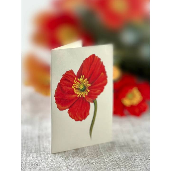 FreshCut Paper LLC - Wholesale Everyday Greeting Card - French Poppies (8 Pop-up Greeting Cards)5