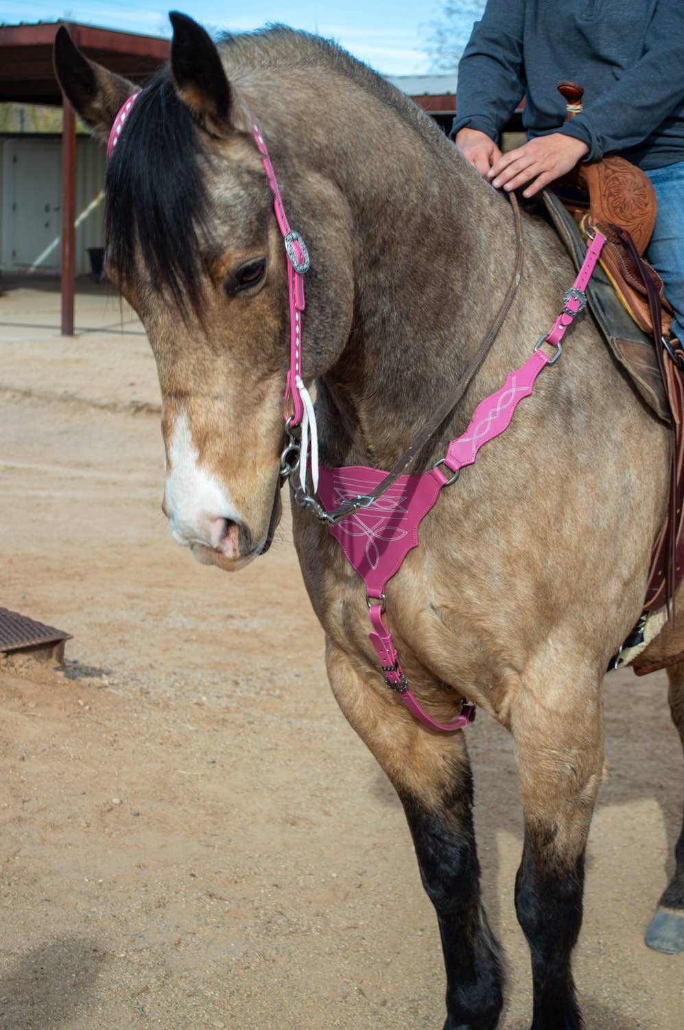 Schulz Equine - Wholesale Horseback Riding Gear - Pink Boot Stitch Headstall and Breast Collar Set1