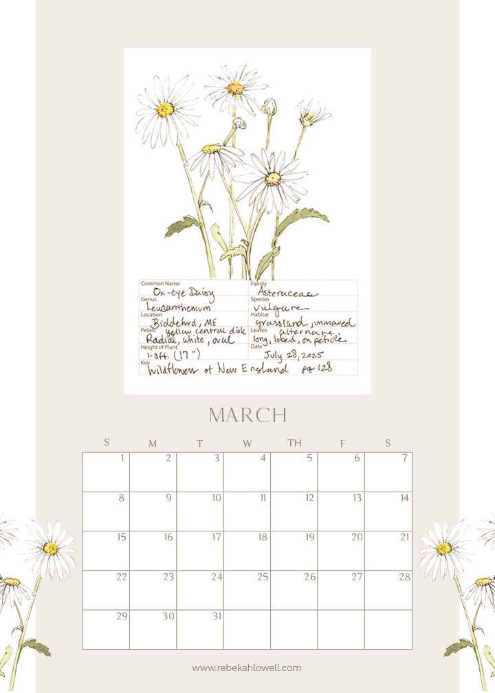 Rebekah Lowell Creative Studio - Wholesale Calendar - 2026 Wildflower Wall Calendar3