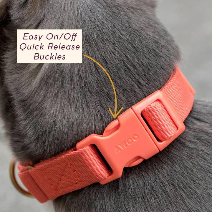 Awoo - Wholesale Pet Collar - Dog - Marty Collar4