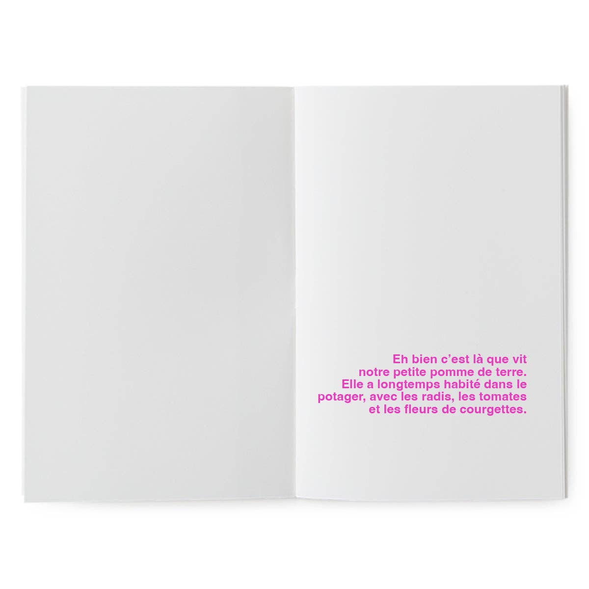 Supereditions - Wholesale Crafts, Hobbies & DIY Book - Illustrative book - the potato in love3