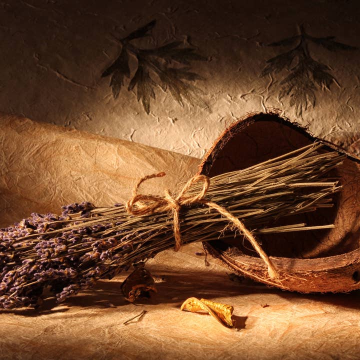 TLLC Supplies – wholesale Doftolja – Lavendel & Kokosnöt - Doftolja