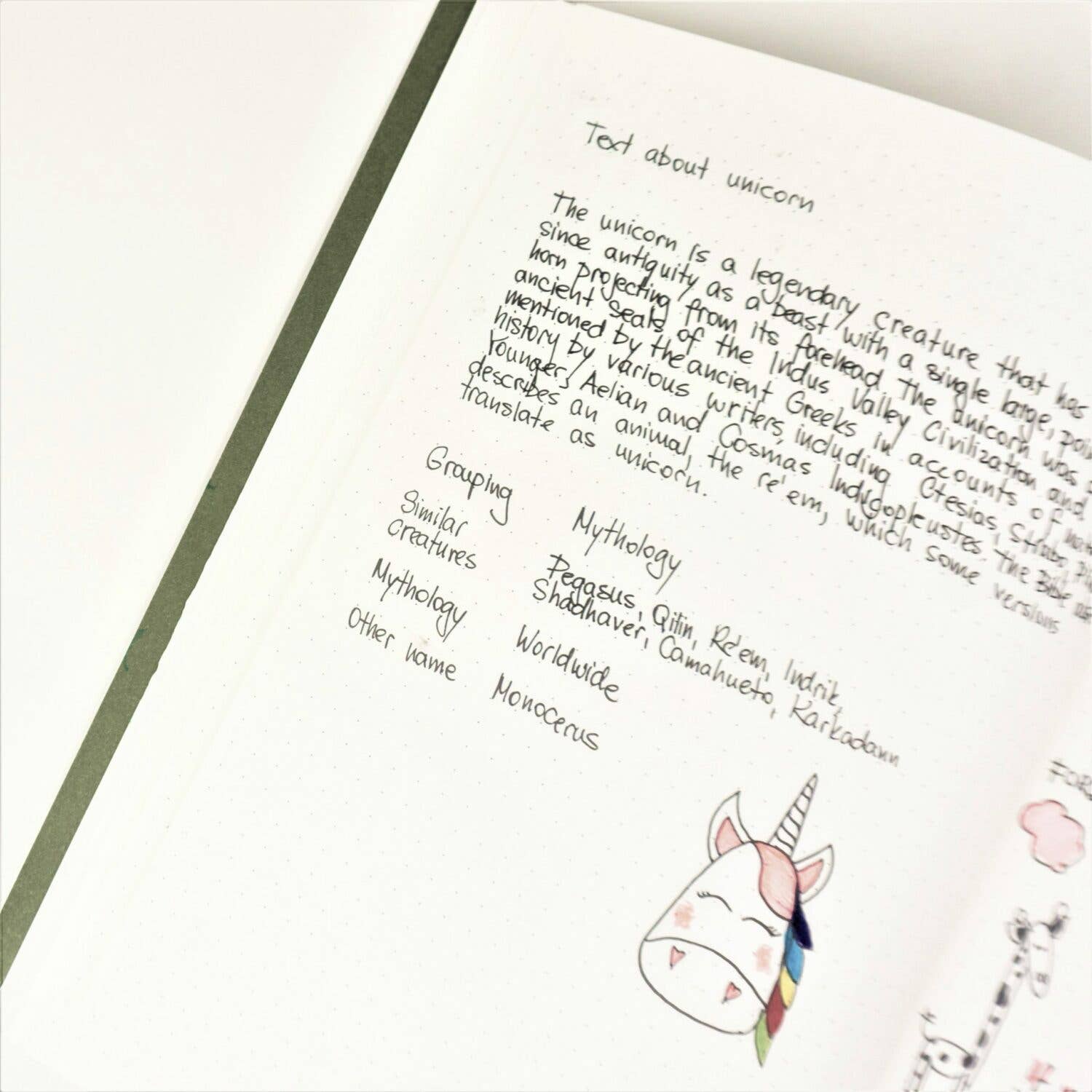 SEIK - Wholesale Notebook - Bullet Journal / Dotted Notebook with spiral binding 3