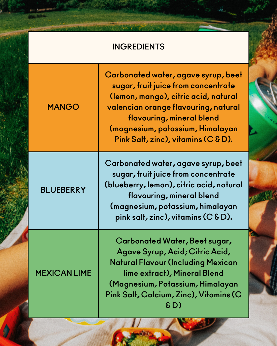 Punchy – wholesale Sports/energy drink – Variety Pack5