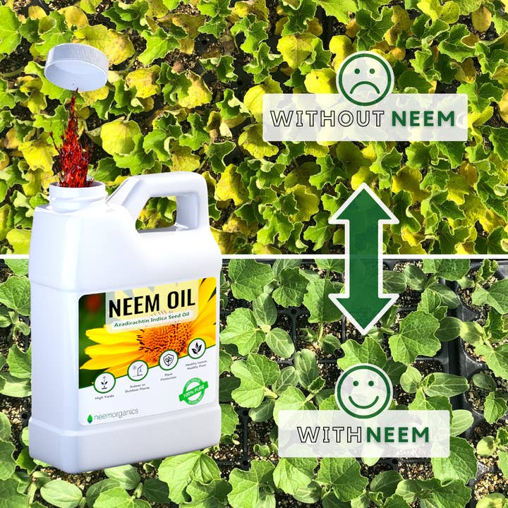Neem Organics - Venta al por mayor Fertilizantes - Aceite de neem 16 oz