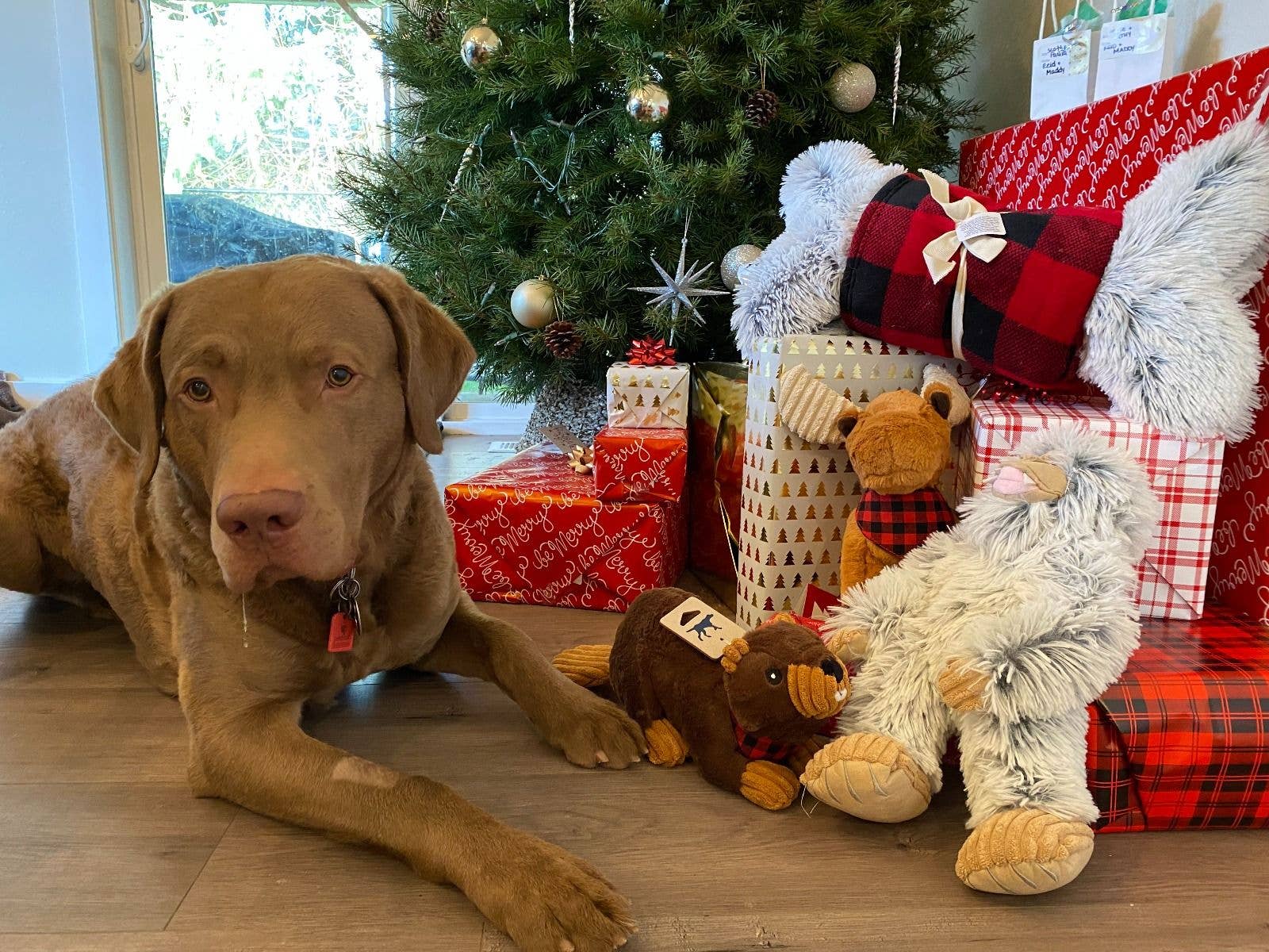 Tall Tails – Großhandel Plüschtier – Hund – Tall Tails Plüsch-Yeti-Spielzeug – 35,6 cm5