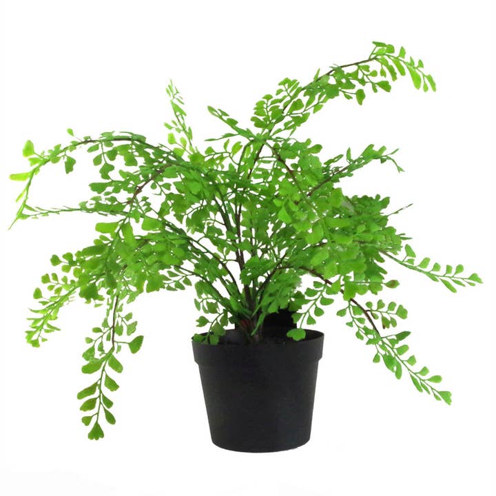 Kunstvarenplant 35cm Maiden Fern Plant voor wholesale door Leaf Design UK LTD