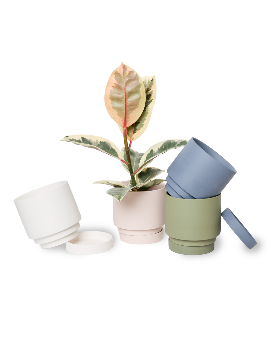 Chive - Wholesale Plant Pot - Casey Indoor Ceramic Planter Self Watering Pot12