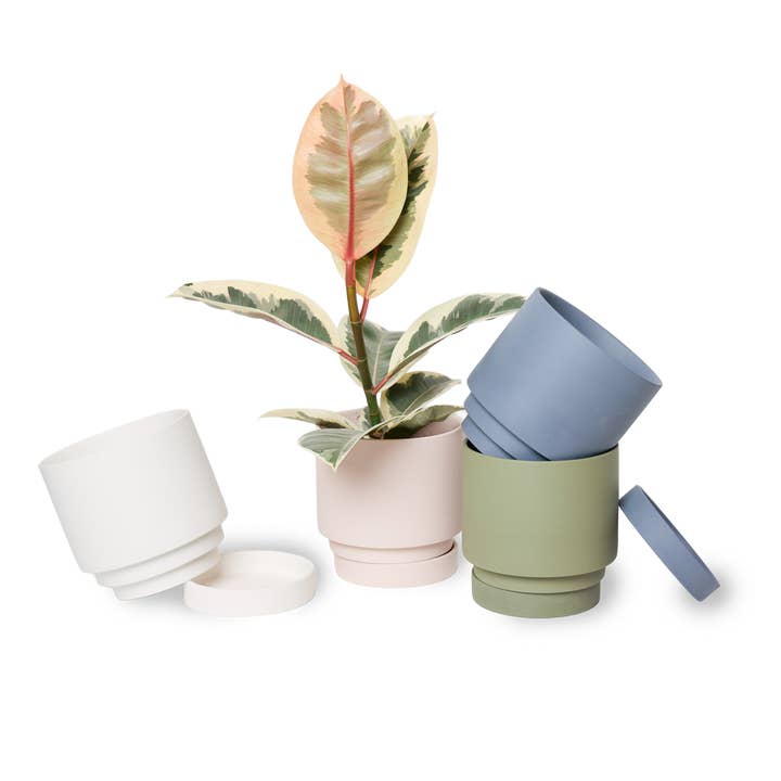 Chive - Vente Pot - Cache-pot d'intérieur en céramique Casey avec arrosage automatique12