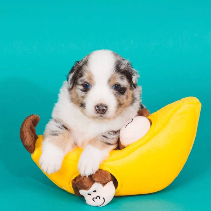 ZippyPaws - Wholesale Knuffelspeeltje - Hond - Zippy Burrow - Monkey 'n Banana - Hondenspeelgoed7