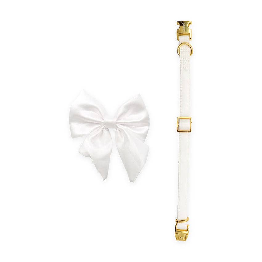 Croci – wholesale Halsband - Hund – Ceremony hundhalsband - Bride1