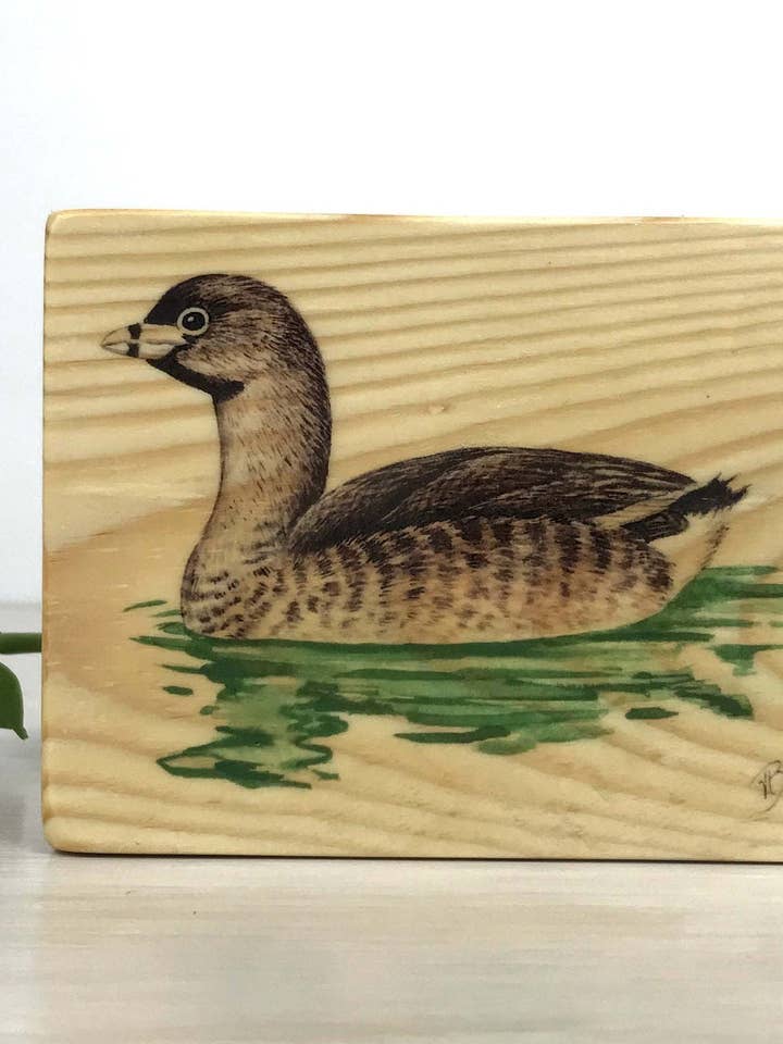 Painel de Madeira de Mergulho-Fulado, Estampado de Mergulho-Fulado por atacado de Streetlightbirds