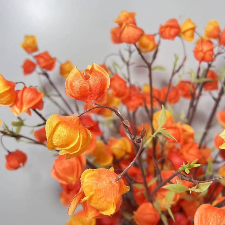 ACNITE(We cover U.S. import duties) - Wholesale Artificial flowers - Artificial lantern flowers silk fruit for autumn decor vase2