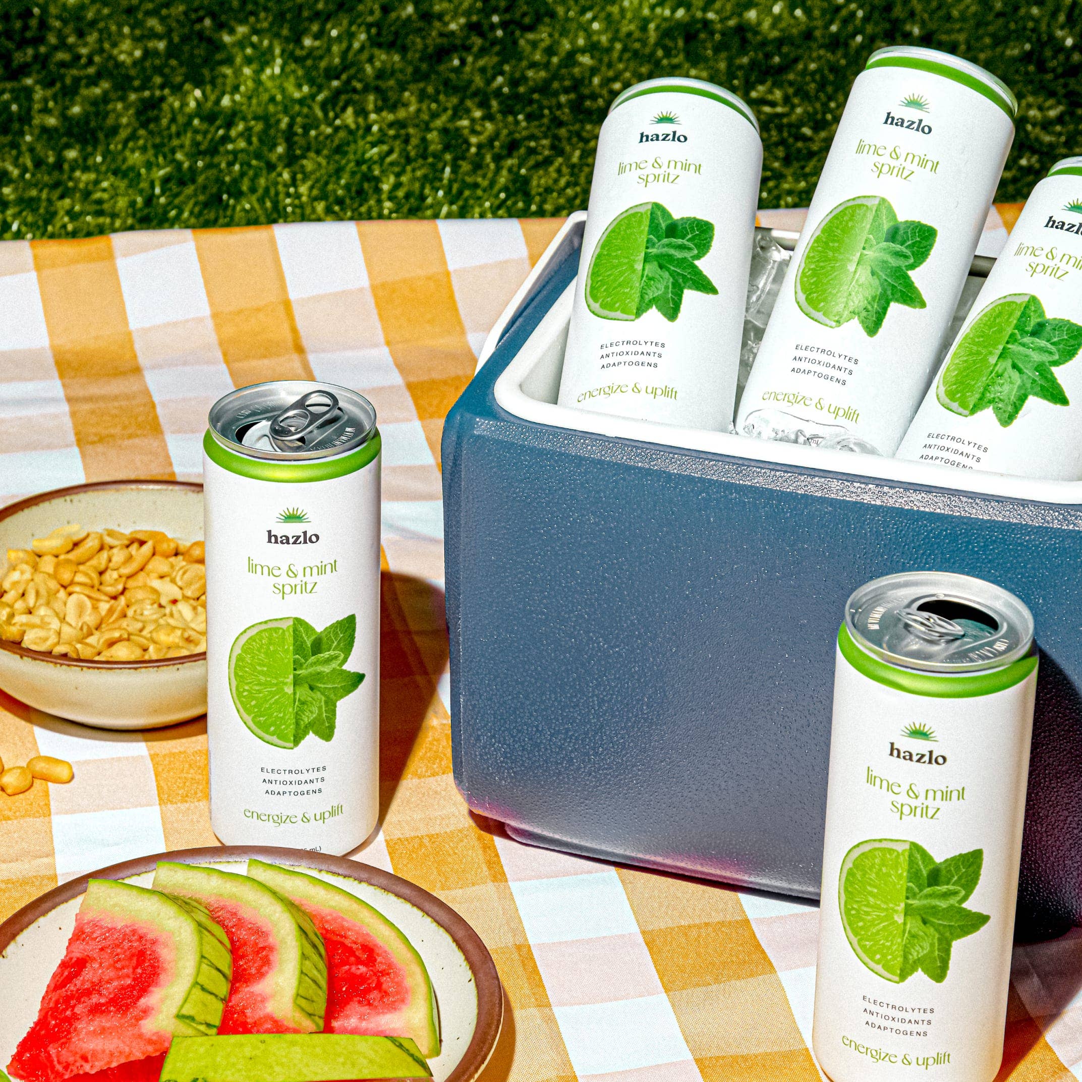 Hazlo - Wholesale Soda/Carbonated Drink - Lime & Mint Spritz4